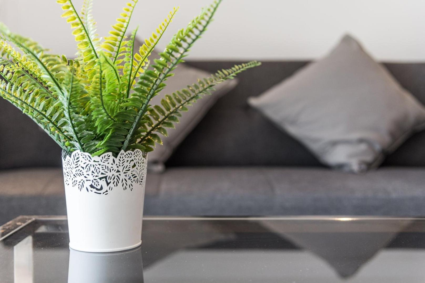 Guestready - A Pleasant Stay At Matosinhos ماتوسينهوس المظهر الخارجي الصورة